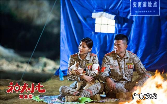 神犬小七大结局是悲剧还是喜剧 神犬小七大结局