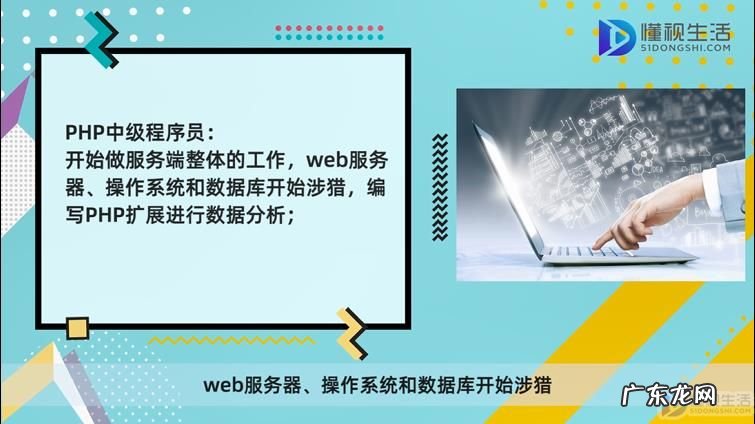 怎么区分程序员级别? PHP程序员级别划分