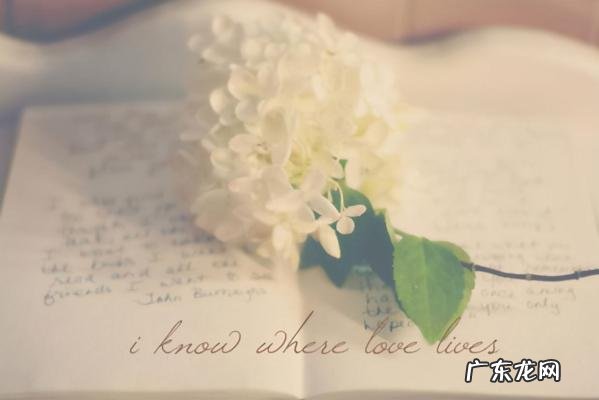 男女之间的感觉可以培养出来吗 男女之间的感觉