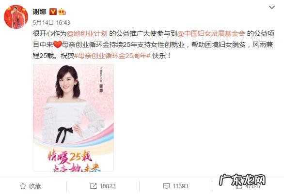 谢娜怀二胎合法吗 谢娜怀了吗