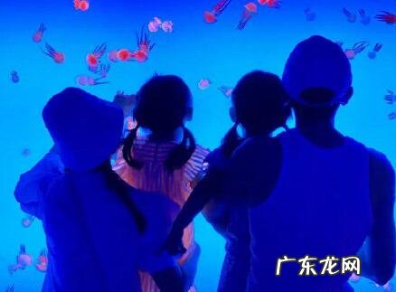 谢娜怀二胎合法吗 谢娜怀了吗