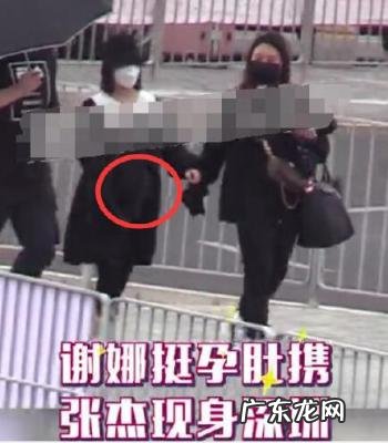 谢娜怀二胎合法吗 谢娜怀了吗