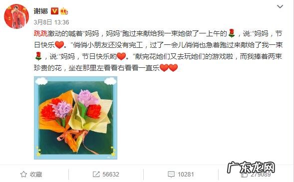 谢娜怀二胎合法吗 谢娜怀了吗