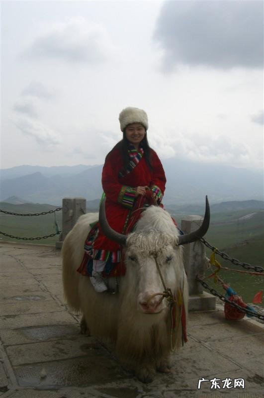 饿瘦真的没有用吗,反弹快吗?