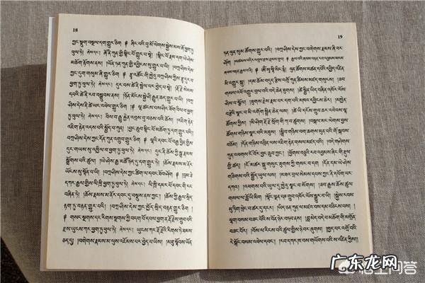 猫咪吃什么食物最好排毒 猫咪有什么千万不能吃的食物吗?