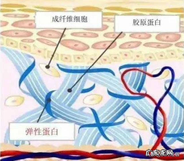 长期使用瘦脸仪会有效果吗？