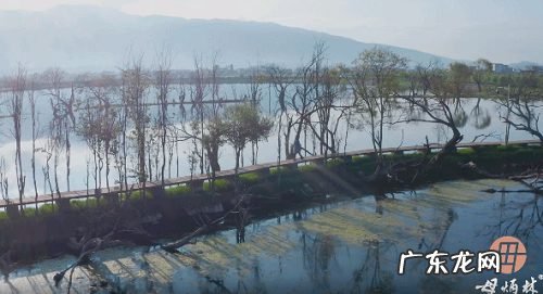 传承人母炳林借短视频展示制银工艺,抖音电商助力非遗传承与保护