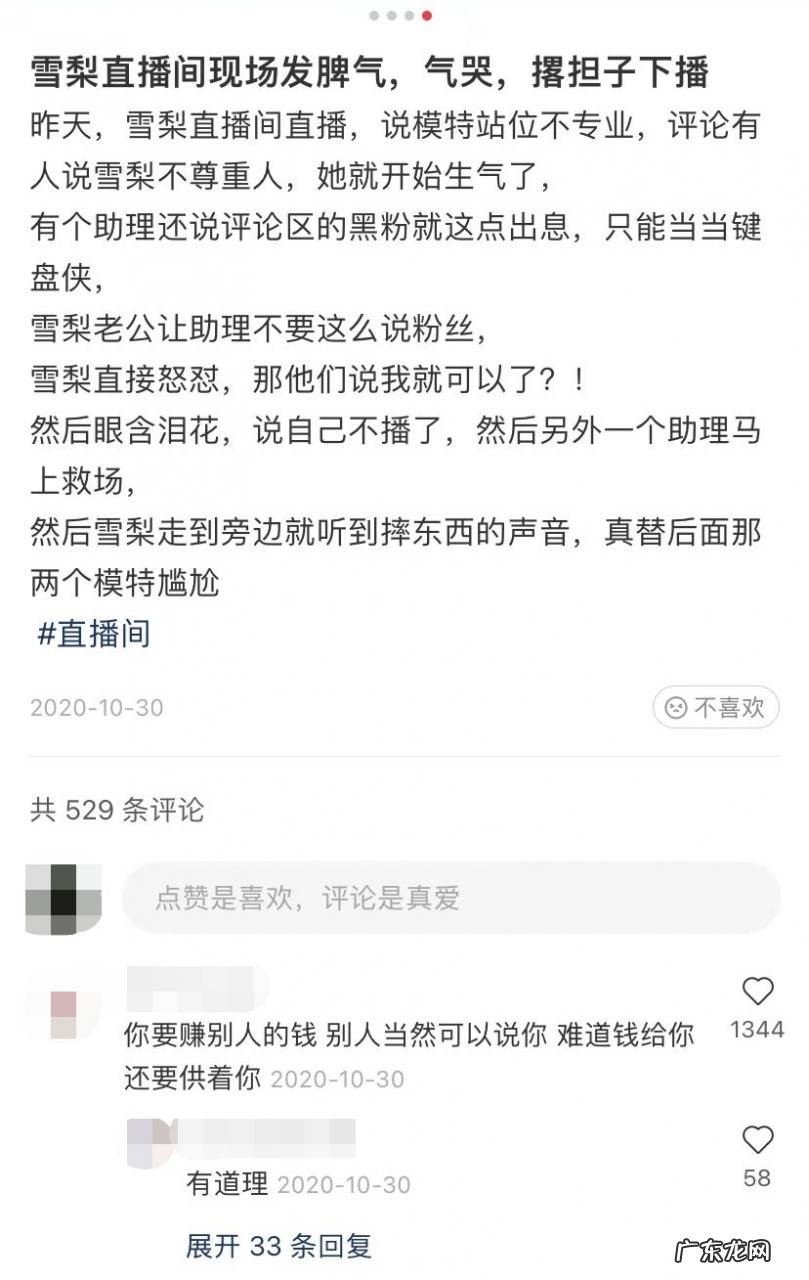从“捕风者”到“逃税者”,雪梨大起大落十一年