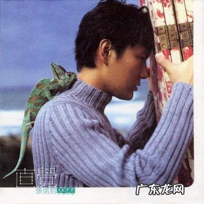 张信哲最好听的歌曲 张信哲哪些歌好听