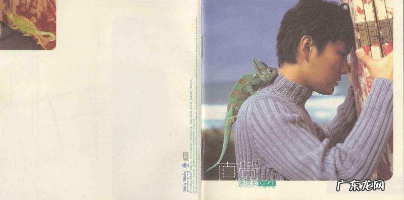 张信哲最好听的歌曲 张信哲哪些歌好听