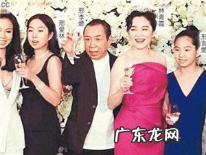 张国立韩雨芹 韩雨芹整容