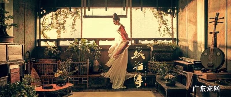 姚晨的老公今年多大年龄 姚晨的老公