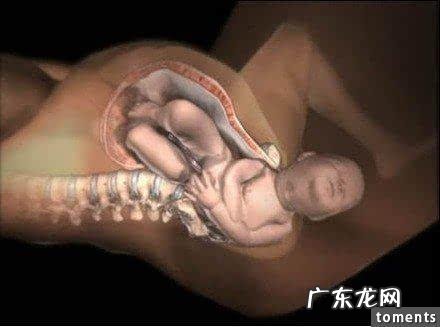 水中分娩顺产双胞胎的全部过程-顺产分娩的步骤