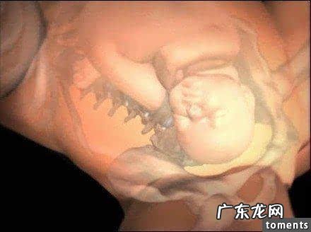 水中分娩顺产双胞胎的全部过程-顺产分娩的步骤