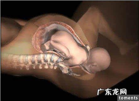 水中分娩顺产双胞胎的全部过程-顺产分娩的步骤