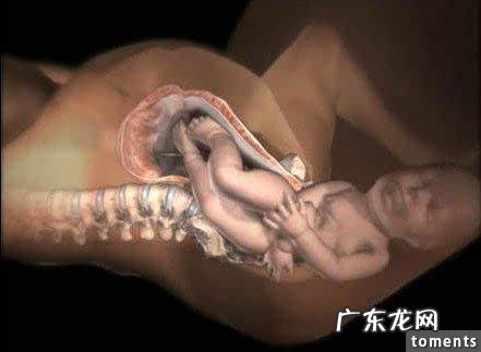 水中分娩顺产双胞胎的全部过程-顺产分娩的步骤