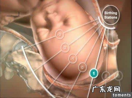 水中分娩顺产双胞胎的全部过程-顺产分娩的步骤