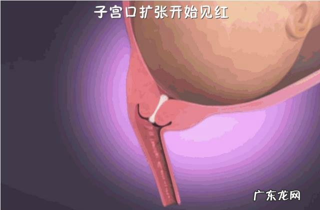 婴儿是怎样分娩出来的-分娩婴儿从哪里出来