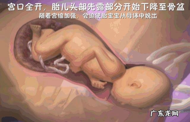 婴儿是怎样分娩出来的-分娩婴儿从哪里出来