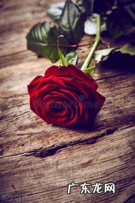 男人喜欢吻女人手背 男人喜欢吻女人哪里