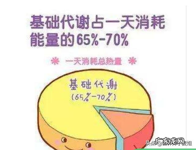 如何1个月瘦15斤 一个半月如何瘦掉15斤?