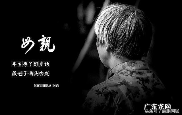 母爱的伟大角马强忍分娩的痛苦-角马妈妈分娩