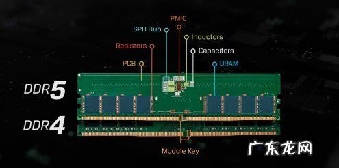 1.6万元买一个DDR5 32GB内存 网友:你疯了吗?