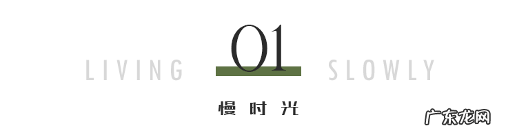 复旦陈果怎么了 复旦陈果