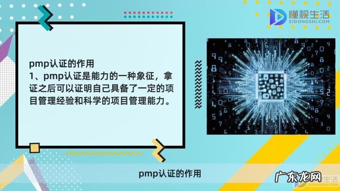 pmp可以挂靠吗