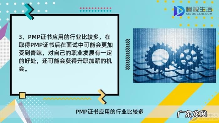 pmp可以挂靠吗