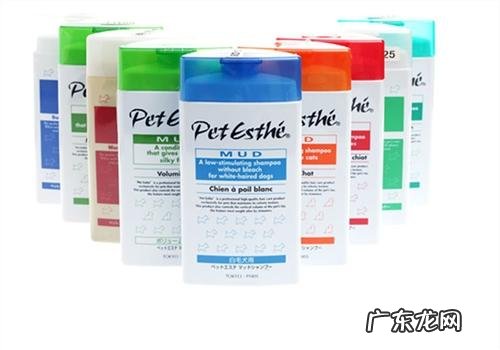 小狗头发不健康的缘故之干躁时节怎么防静电