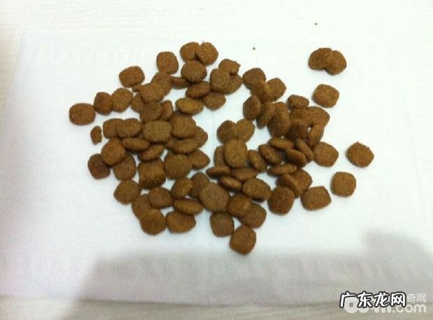 怎样分辨真假犬粮