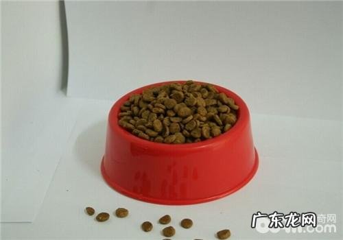 教你从各种各样视角去了解犬粮