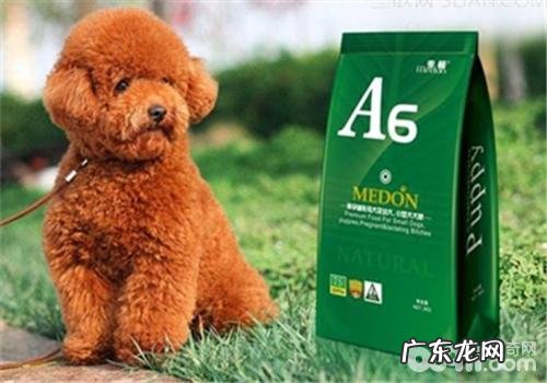 教你从各种各样视角去了解犬粮