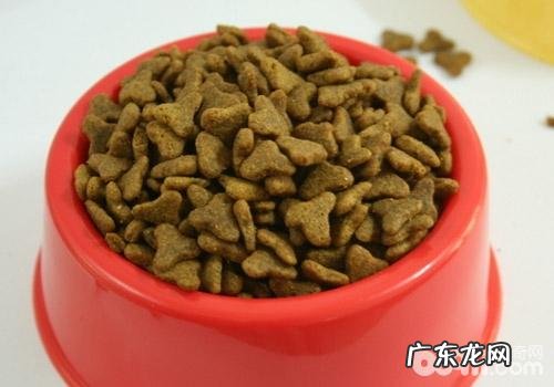 网上购物自制狗粮的虚虚实实