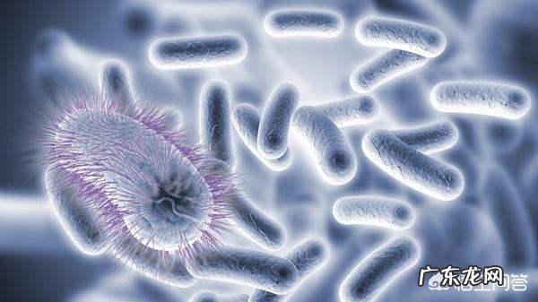 为什么在科技发达的今天前列腺炎却很难zhi愈?