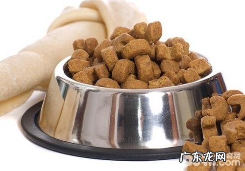 针对犬粮的一些错误观点