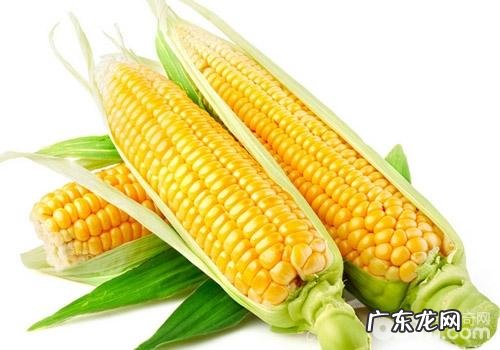 被无谷粮抛下的“谷类”