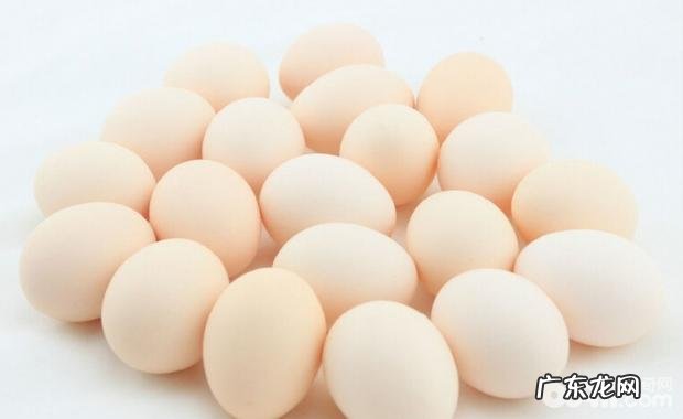 让小狗得到充裕的蛋白