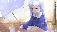 柯基的习性是什么？智商如何？黏人吗平时？