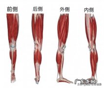 腿部脂肪堆积怎么办 腿太粗怎么减