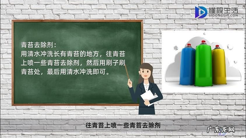 地上长青苔很滑怎么处理