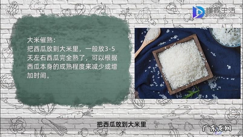 西瓜有点生放几天能熟吗? 摘下来的西瓜怎么催熟