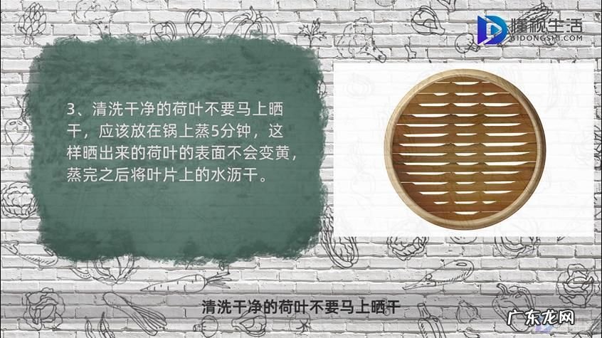 新鲜荷叶怎么制作干荷叶