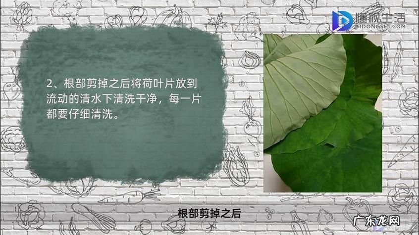 新鲜荷叶怎么制作干荷叶
