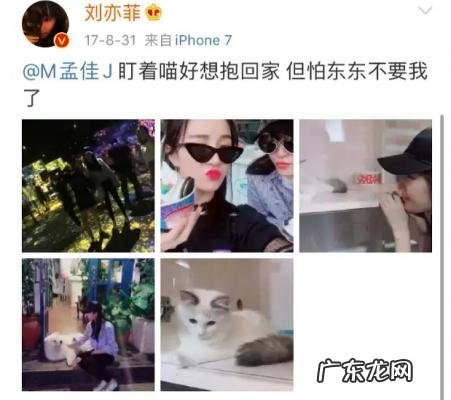 宋茜回复尼坤微博2018 尼坤微博关注宋茜