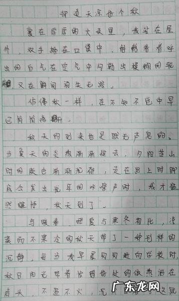 初中必考作文20篇 优秀作文800字高中满分