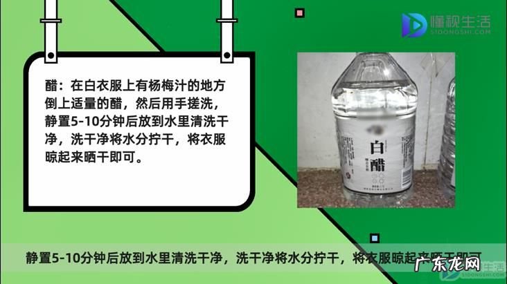 杨梅汁弄到白色衣服上怎么清洗