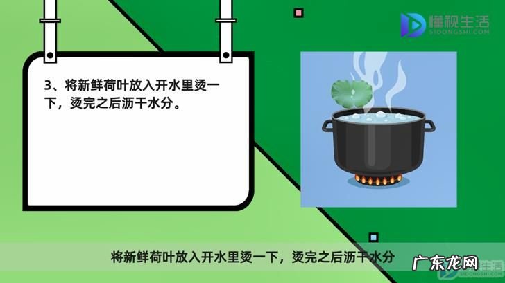 新鲜荷叶怎么吃最好? 新鲜荷叶怎么保存
