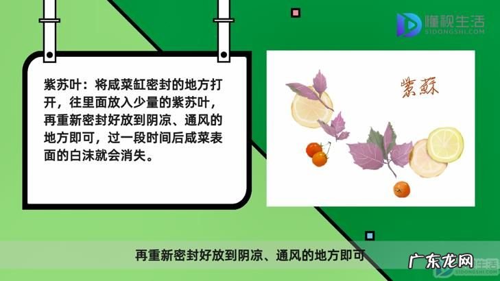 咸菜长白醭后如何处理? 咸菜缸里起白沫了怎么办